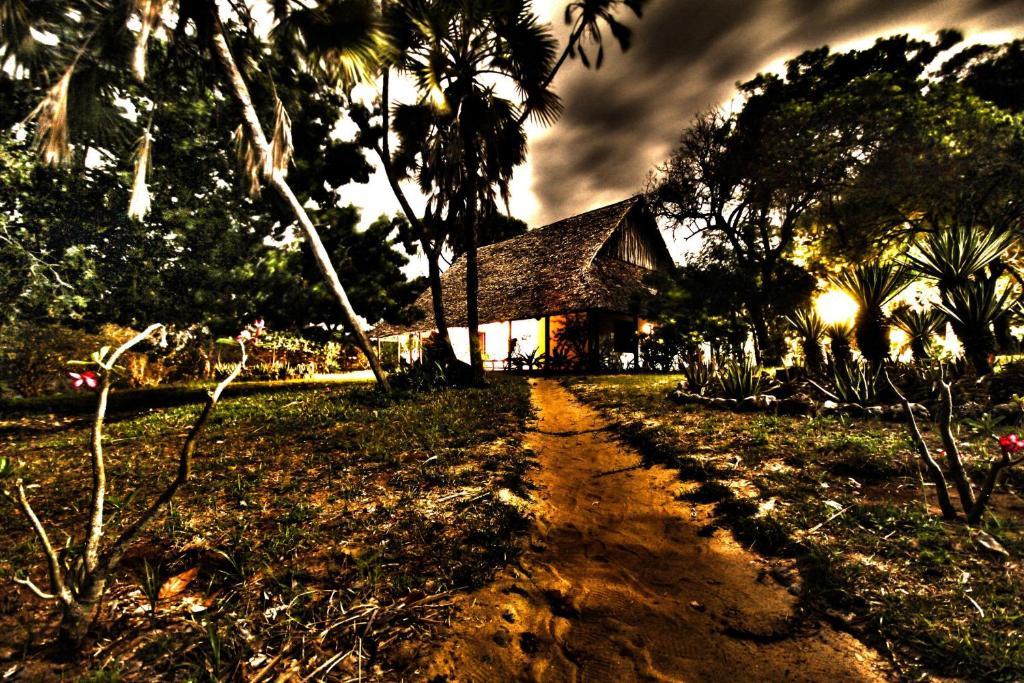 Amani Beach Resort Kutani Экстерьер фото